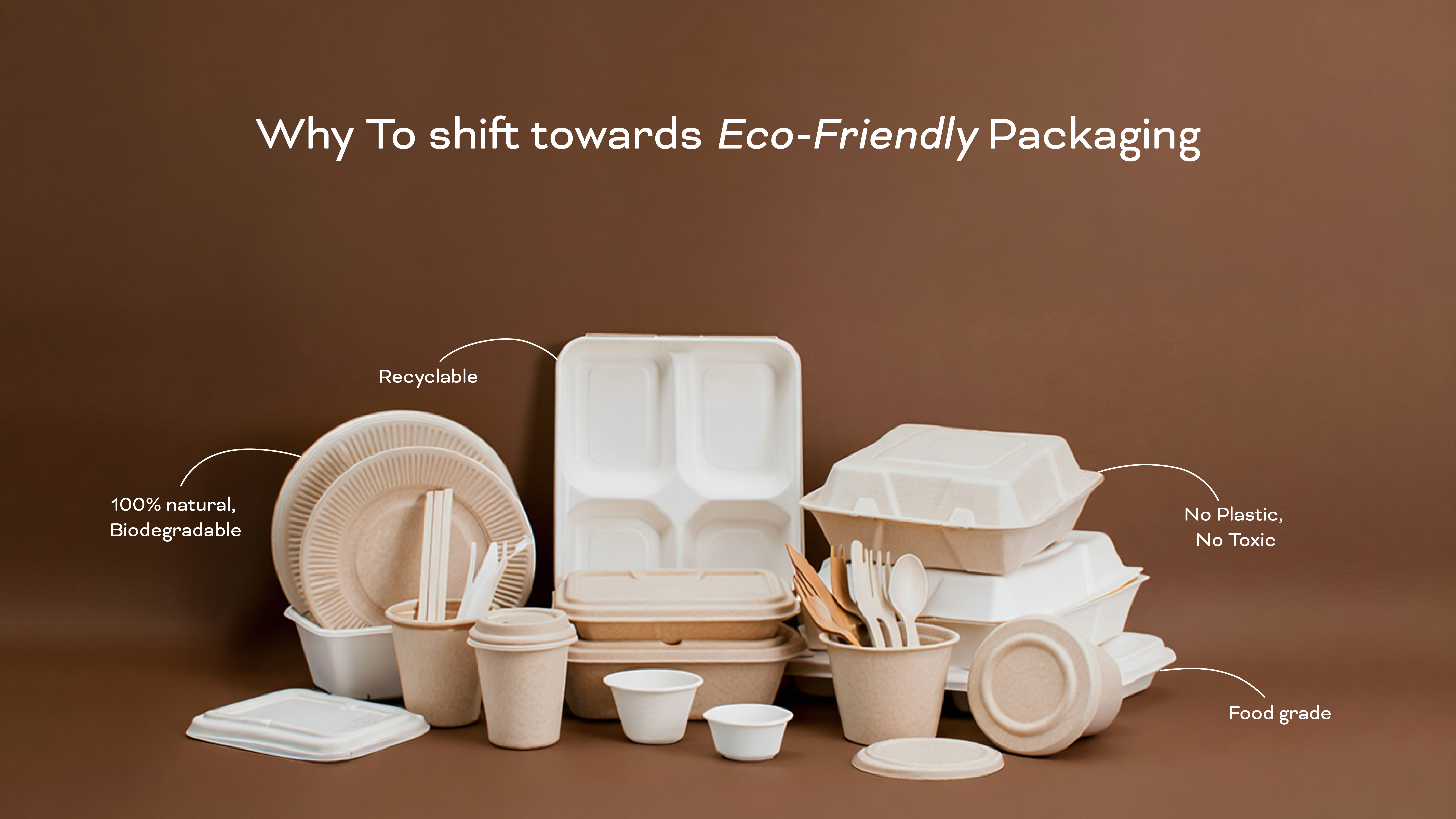 The ROI of Switching to Eco-Friendly Packaging for Retail and Food Services